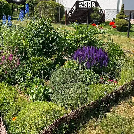 Ruhiges Zum Arbeiten Oder Erholung Mit Hund Δωμάτια σε οικογενειακή κατοικία