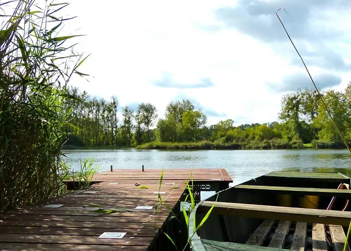 Ruhiges Zum Arbeiten Oder Erholung Mit Hund